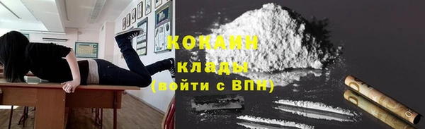 хмурый Арсеньев