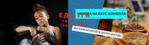 хмурый Арсеньев