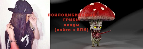 хмурый Арсеньев