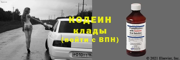 хмурый Арсеньев