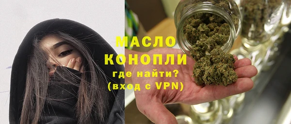 хмурый Арсеньев