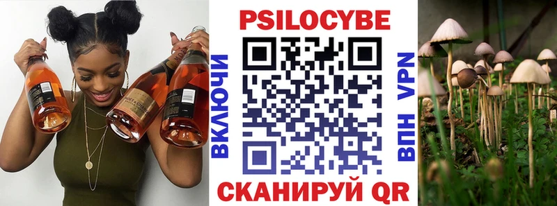 Псилоцибиновые грибы мухоморы  продажа наркотиков  Радужный 