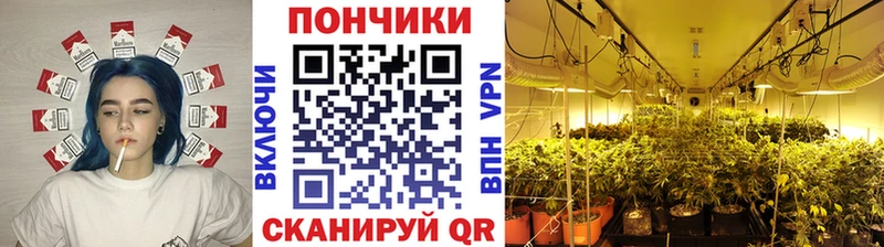 Марихуана MAZAR Радужный
